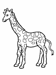 The book has pages on the lion, zebra, ostrich, rhino, elephant, giraffe, cheetah, chimp, and gorilla. Free Printable Giraffe Coloring Pages For Kids Giraffe Coloring Pages Zoo Animal Coloring Pages Animal Coloring Pages