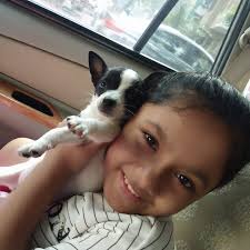 CHALLENGE ACCEPTED: To all Pomeranian owners I'm asking all dog lovers to  join the challenge of posting a picture of your dog/dogs. Just one picture,  no description. The goal is to flood