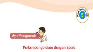 Mereka mencari artikel di internet dengan menggunakan komputer milik ayah edo. Kunci Jawaban Tema 1 Kelas 3 Sd Halaman 175 176 178 Buku Tematik Subtema 4 Pembelajaran 5 Tribun Padang
