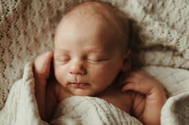 Viewing Your Gallery