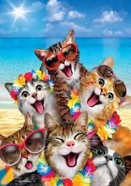 Beach Kittens Garden Flag Katje Katten Dieren Kattenkunst