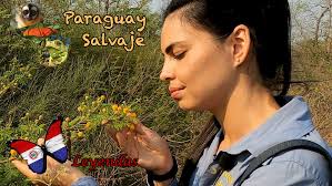 Paraguay Salvaje