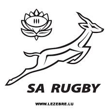Sachez bien des consommateurs rencontrent ce type de. Casquette Afrique Du Sud Rugby Logo