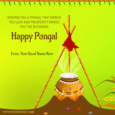 wish you happy pongal images greetings with name picture wish you happy pongal images greetings