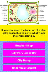 Check spelling or type a new query. If You Compared The Function Of A Trivia Answers Quizzclub