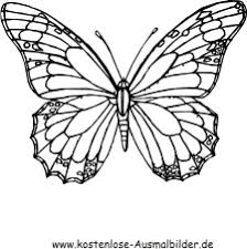 Ausmalbild Schoner Schmetterling Zum Ausdrucken