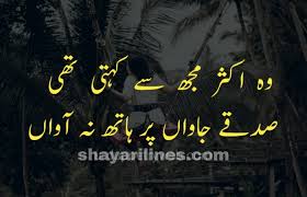 You cherish with there is a trend of sharing friendship poetry in urdu via sms, facebook or whatsapp by users. New Funny Shayari In Urdu Hindi Status Jokes Sms 2021