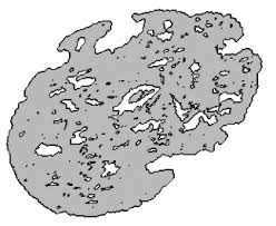 PUMICE AGGREGATES FOR STRUCTURAL LIGHTWEIGHT AND INTERNALLY CURED CONCRETES