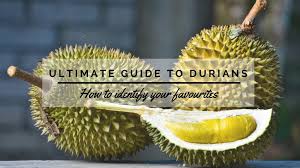 Dutian ss2, offer offer offer!!! Bitter Or Sweet Guide To Identifying Your Favourite Durian Types