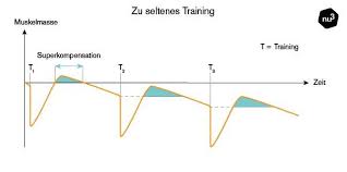 Brüste wachsen ja bis zu einem bestimmten zeitpunkt, wenn ich zu dem zeitpunkt nicht zugenommen hab, erst in paar jahren ist es dann zu spät fürs wachsen meiner brüste? Muskelaufbau Wichtigste Tipps Fur Grossere Muskeln Nu3