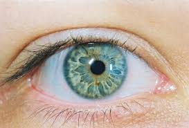 Pin De Rakun Em Eyes Cores De Olhos Raras Olhos Lindos Olhos Maravilhosos