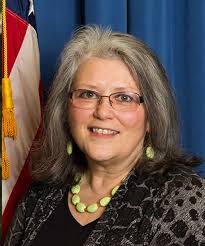 Terri Schmidt, Indian Health Advocate