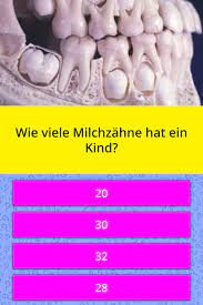 Wie Viele Milchzahne Hat Ein Kind Quiz Antworten Quizzclub