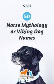 50 Norse Mythology Or Viking Dog Names Our Fit Pets Dog Names Norse Names Norse Mythology Names Vikings are known for being adventurers and fierce warriors (the name is from the old norse to raid). pinterest