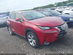 Image result for Matador Red 2018 NX