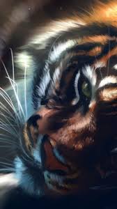  13 Tiger Ideas In 2021 Haiwan Peliharaan Seni Kucing Tatu Harimau