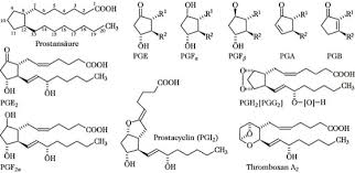 Maybe you would like to learn more about one of these? Prostaglandine Lexikon Der Chemie