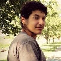 Dominic Matthew McMahon Obituary