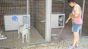 Faire garder son chien en pension. Journal L Union