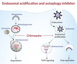 Image result for Chloroquine