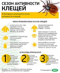 Bolee 20 Zhitelej Gomelskoj Oblasti Postradali Ot Ukusov Kleshej S Nachala Goda