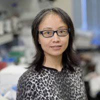 The Viviane Tabar Lab