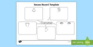 Classroom Organisation Graphic Organisers Primary Resources Pr