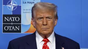 Shark attack: Man tells of the moment huge shark ripped into his wife's leg 