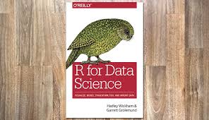 Comes close to that standard for the beginner to intermediate user who is completely innocent, on the one hand, or who . Books Rstudio