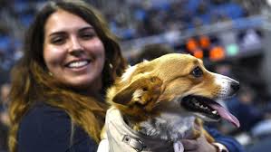 See the photos: Faces in the crowd as Nevada takes