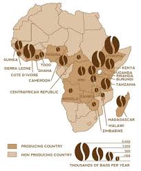 Pov Yazane Zobrazhennya Coffee Infographic Coffee Farm Coffee Roastery