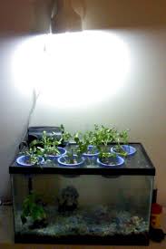 Pin By Kauree Belle On Gardening In 2020 Indoor Aquaponics Aquaponics Diy Aquaponics Fish