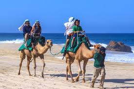 Camel riding tour in cabo san lucas. Cabo Camel Ride Experience 2021 Los Cabos