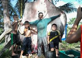 Ikan tapah ialah satu spesies ikan duri air tawar dalam famili siluridae yang terdapat di bahagian selatan asia dari pakistan ke vietnam, malaysia, dan indonesia. 5 Ikan Saiz Terbesar Yang Dijumpai Di Malaysia