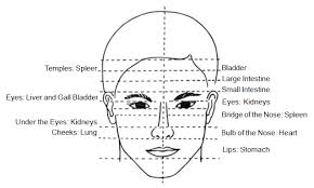 Healing Ways Traditional Facial Reading