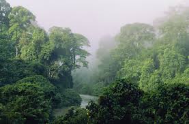 vietsub law of the jungle in sabah ep 328. Ubs In The Jungle Republik
