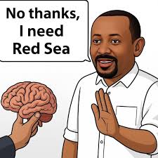 ኤርትራ 🇪🇷 ERITREA