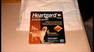 Since it is a preventive measure, you can use heartgard plus without getting a vet prescription in. How To Get Heartgard Plus Without A Prescription Proof Youtube