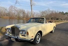 Image result for Yellow 1968 Fleet