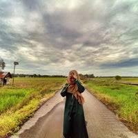 Learn to dive with padi: Sawah Padi Merlimau
