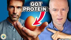 Healthy Indoors Shows