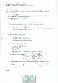 Chapter 7 cell structure and function section 7 1 life is cellular (pages ) key concepts what is the cell theory? 7 1 Quick Check Ws Ans Key Buena Regional High School