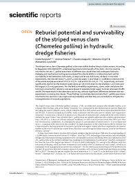 Statistiche aggiornate al 13 luglio 2019. Pdf Reburial Potential And Survivability Of The Striped Venus Clam Chamelea Gallina In Hydraulic Dredge Fisheries