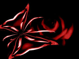 Black Background With Rose In Middle Black And Red Roses Xp Wallpaper Red Butterfly Image On Black Background With Red Rose Black And Red Roses Red Butterfly Butterfly Images