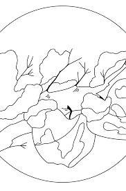 Seasons coloring pdf book published in sweden as tidevarv four preschool art rain page ideas colouring. Coloring Pages Seasons Print And Color Online