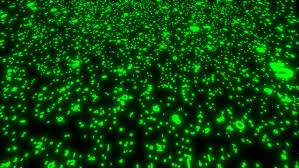 Retro futuristic ultraviolet background with bright glowing lines in a tunnel with pink and blue. Animated Flying Glowing Neon Green Stock Footage Video 100 Royalty Free 9133214 Shutterstock