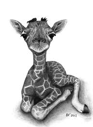 Pin By Ronda Carnahan On Art By Barbara Vugs Cute Animals Baby Animal Drawings Animal Drawings Baby Giraffe Tattoo
