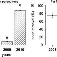 Image result for Globimetula kivuensis