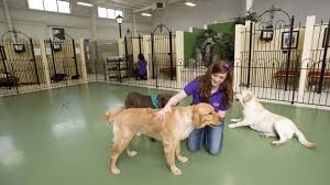 Walmart.com has been visited by 1m+ users in the past month Pet Boarding Columbus Ohio Dog Daycare Pet Grooming Pet Palace