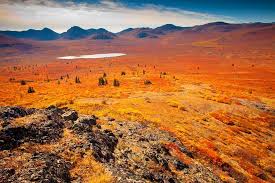Using the word generator and word unscrambler for the letters t u d n r a, we unscrambled the letters to we found a total of 49 words by unscrambling the letters in tudnra. Die Tundra Quebec Kanada